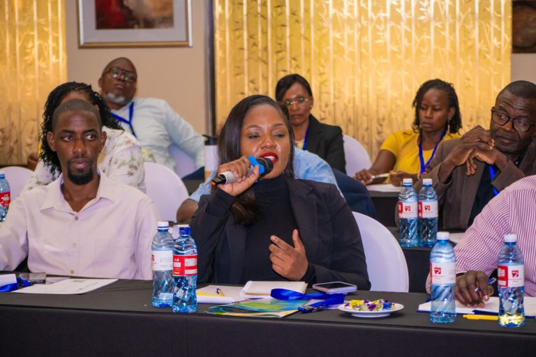 Delegate speaking during an IARS seminar discussion